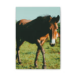 Load image into Gallery viewer, "Eyes That Follow" Canvas
