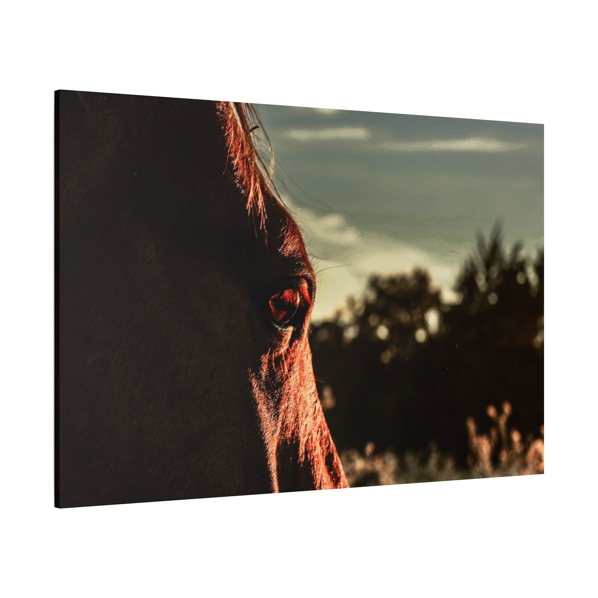 "Witness of the Dawn" Canvas