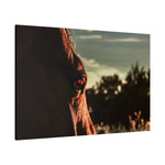 Load image into Gallery viewer, &quot;Witness of the Dawn&quot; Canvas
