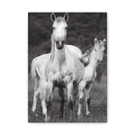 Load image into Gallery viewer, "Venus and Kairos: A Second Chance, A First Glimpse" Canvas
