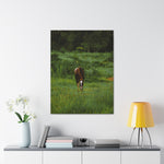Load image into Gallery viewer, "Thor: Strength Rising" Canvas
