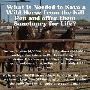 $27,955 in One-Time Donations and $1,980 in Monthly Sponsorships Left to Raise to Save 10 Alpine Wild Horses from Kill Pen!!!!