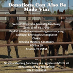 Load image into Gallery viewer, $27,955 in One-Time Donations and $1,980 in Monthly Sponsorships Left to Raise to Save 10 Alpine Wild Horses from Kill Pen!!!!
