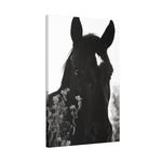 Load image into Gallery viewer, "Marked and Unmoved" Canvas

