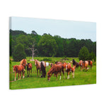 Load image into Gallery viewer, "The Path They Know" Canvas
