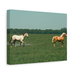 Load image into Gallery viewer, "Running in the Wild" Canvas
