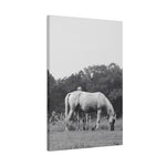 Load image into Gallery viewer, "Behind Her Shadow" Canvas
