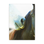 Load image into Gallery viewer, "A Gentle Connection" Canvas
