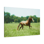 Load image into Gallery viewer, "Bronze, the Unbroken" Canvas
