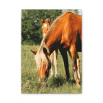 Load image into Gallery viewer, "Growing Into His Mark" Canvas
