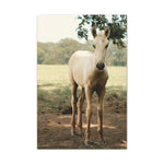 Load image into Gallery viewer, "A Mark of His Own" Canvas
