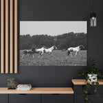 Load image into Gallery viewer, "The Contrast Within" Canvas
