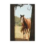 Load image into Gallery viewer, "Framed By Survival" Canvas
