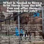 Load image into Gallery viewer, $66,220 in one-time donations and $3,000 in MONTHLY SPONSORSHIPS still needed to save 15 Mustangs from Kill Buyers at 10/05 Bowie Auction!!
