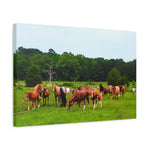 Load image into Gallery viewer, "The Path They Know" Canvas
