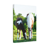 Load image into Gallery viewer, "Two Side of the Same Spirit" Canvas
