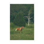 Load image into Gallery viewer, "The Golden Mane" Canvas
