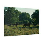 Load image into Gallery viewer, "Following the Herd" Canvas
