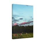 Load image into Gallery viewer, Copy of "Under a Painted Sky" Canvas
