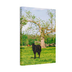 Load image into Gallery viewer, "Midnight Blooms" Canvas
