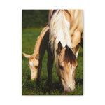 Load image into Gallery viewer, "Learning From Her Hoofprints" Canvas
