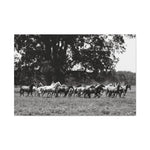 Load image into Gallery viewer, "When the Herd Runs" Canvas
