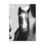 Load image into Gallery viewer, "Tristan: From Wild to Worth" Canvas
