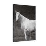 Load image into Gallery viewer, "Where She Stands Now" Canvas
