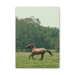 Load image into Gallery viewer, "The Run" Canvas
