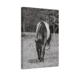 Load image into Gallery viewer, "Leah: The Quiet Watcher" Canvas

