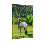 Load image into Gallery viewer, "Sunshine and Magnolia" Canvas
