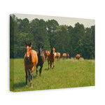 Load image into Gallery viewer, "The Way Forward" Canvas
