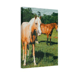 Load image into Gallery viewer, Copy of "Two Side of the Same Spirit" Canvas
