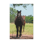 Load image into Gallery viewer, "Where the Sun Finds Them" Canvas

