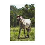 Load image into Gallery viewer, "Where the Sun Rest" Canvas
