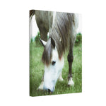 Load image into Gallery viewer, "In Her Own Rhythm" Canvas

