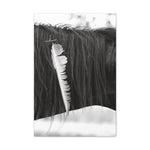 Load image into Gallery viewer, "Feather and Freedon" Canvas
