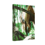 Load image into Gallery viewer, "Framed by Nature" Canvas
