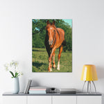 Load image into Gallery viewer, "Eyes Set Forward" Canvas
