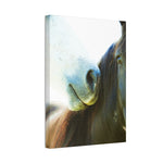 Load image into Gallery viewer, "A Gentle Connection" Canvas
