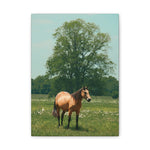 Load image into Gallery viewer, "Turned Towards the Open" Canvas
