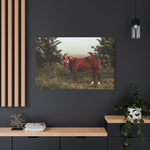 Load image into Gallery viewer, &quot;Ember in the Field&quot; Canvas
