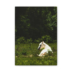 Load image into Gallery viewer, "Dawn in the Light" Canvas
