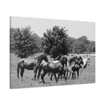Load image into Gallery viewer, "A Shared Path" Canvas
