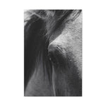 Load image into Gallery viewer, "The Window to the Wild" Canvas
