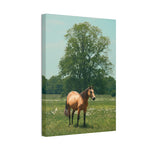 Load image into Gallery viewer, "Turned Towards the Open" Canvas
