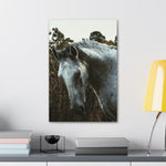 Load image into Gallery viewer, "White Horse" Canvas
