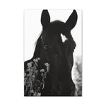 Load image into Gallery viewer, "Marked and Unmoved" Canvas
