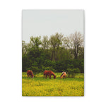 Load image into Gallery viewer, "A Quiet Distance" Canvas
