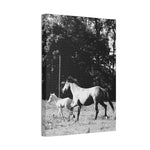 Load image into Gallery viewer, "Chasing Freedom" Canvas
